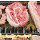 여자만 회 타운 이미지