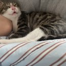 명가손만두금오산점 이미지