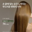 [머리카락 한 움큼씩 빠진다면?] ​탈모 샴푸 유목민 정착템! 보타랩 데저티콜라 플러스 샴푸&컨디셔너...