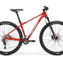 엠티브이21로 이미지