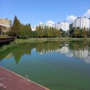 빛고을노인건강타운 대강당 | 빛고을노인건강타운 근처 공원