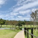 보라매안전체험관 이미지