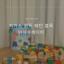 피카소 | 아이큐 베이비 피카소 원목 패턴 블록 사용 후기