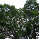 해동반점 이미지