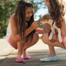 백남수동물병원 이미지