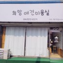 희망 애견 미용실 이미지