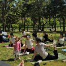 오로시 봄날 | ✨안산 아이와 가볼만한곳 ㅣ 안산호수공원 야외요가 + 피크닉 완벽했던 하루