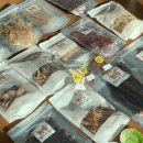목포 건어물 :: 찡보네 징어 종류별 맛별 후기