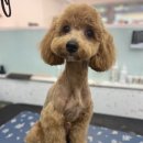 살롱드삐삐 이미지