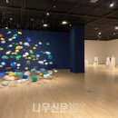 제비스코 이미지