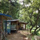 풍년산장 이미지