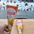 레인보우아이스크림 - 목포시 당가두로13번길 8 | 요맘때 레인보우 콘 아이스크림 후기