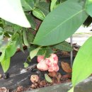 박이농장 이미지