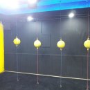 국제체육관 이미지