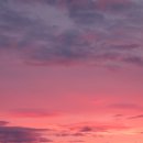 해피투게더민박 이미지