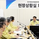 정오자원 이미지