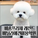 바닐라애견미용학원 이미지