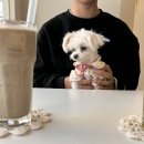 공들인하루 이미지