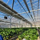 별마을농장 이미지