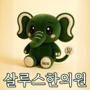 살루스한의원 이미지