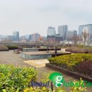 TAEGEUKGI & MUGUNGHWA 이미지