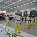 바로새김태권도장 이미지