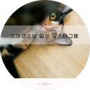 무유인(MUIN) 네이버블로그