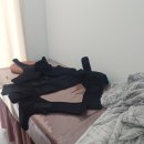 새터로 | 블랙핏점핑다이어트 EMS 온열 체형교정후기