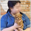 퍼스트펫 | 인천 펫퍼스트 24시에서 강아지와 첫 만남 후기