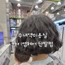 엠헤어 이미지