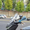 존테스350 배달셋팅 신차 동급 최강 오토바이 이미지