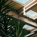 에스워시 이미지