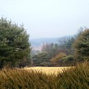 나라오이코스주 네이버블로그