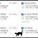신용협동조합중앙회 티스토리