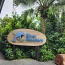 우림슈퍼 | 싱가포르 패키지 여행후기 가든스바이더베이 리버원더스