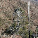 지리산(대구) | 2023-11-07 지리산천왕봉 850회차 산행(거림원점회귀...천왕봉에서 남해바다 및 대구광역시 달서구 조망
