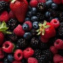 리온에너지 이미지