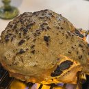 마곡역 4번 출구 뒤 이미지