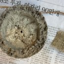 크로체꽃예술학원