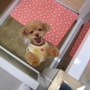 원주유치원 이미지