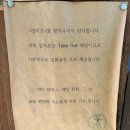 말차로 | [강릉] 한옥 분위기와 진한 말차라떼 맛집 "말차로" 솔직 후기