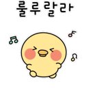 에스비알 이미지