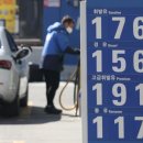 남지연합정보 이미지