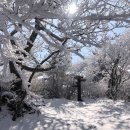 가리왕산가는길 이미지