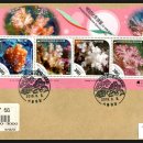 제주연안 연산호 군락지 이미지