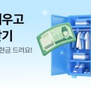 비비드플랜