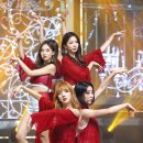 케이스텔라 이미지