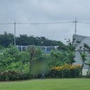 단아목장 이미지