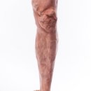 아나파적맥통증의원 이미지