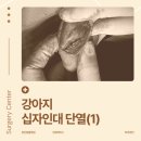 대현동물병원 이미지